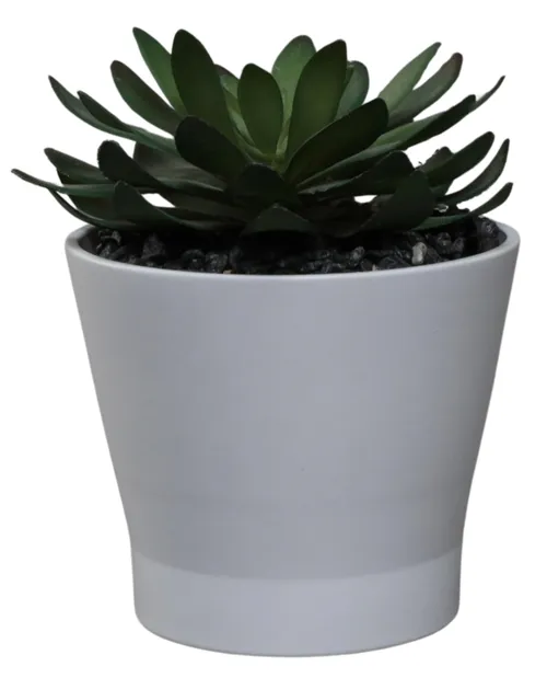 Artificial Succulent In White Matte Pot