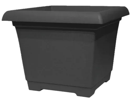 Low Black Plastic Planter