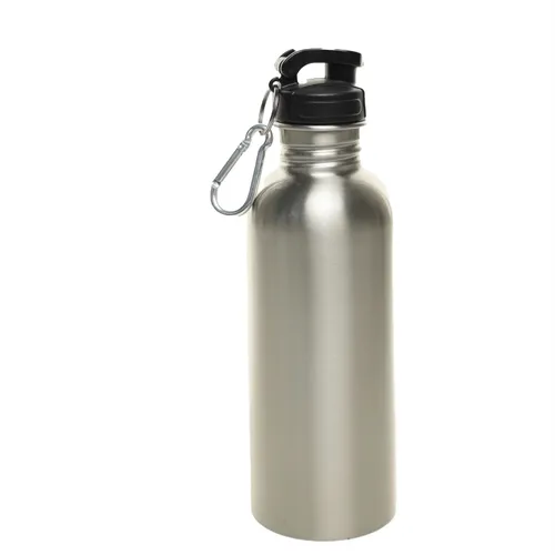 Argentate Silver Metal Water Bottle