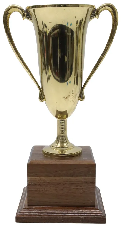Gold Trophy Cup On Wood Base