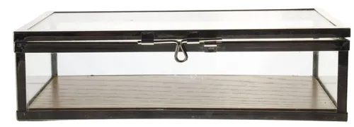 Clear Glass Display Box With Chrome Frame