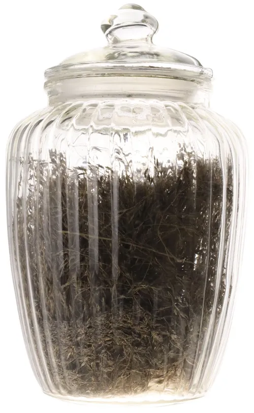 Ribbed Clear Glass Canister With Natural Herbs