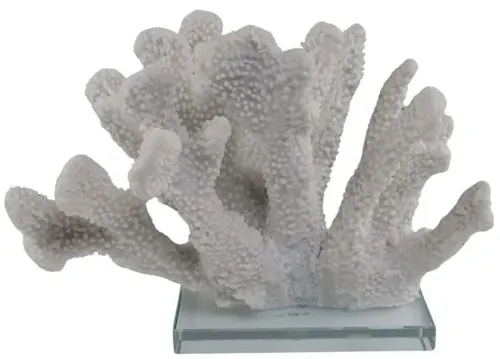 White Natural Sea Coral On Glass Base