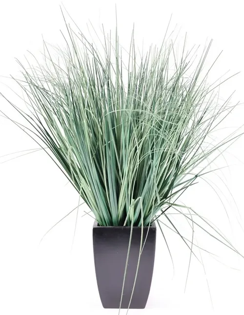 Artificial Mexican Grass In Black Square Tapered Pot
