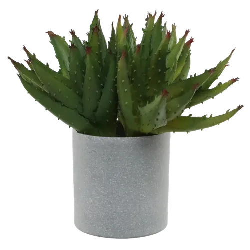 Artificial Succulent In Grey Pot