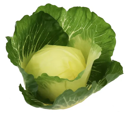 Artificial Green Cabbage