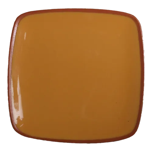 Squash Orange With Terra Cotta Trim Square Serving Plate