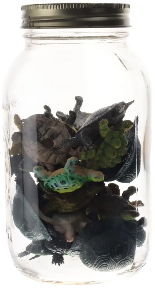 Clear Glass Jar With Rubber Turtle's