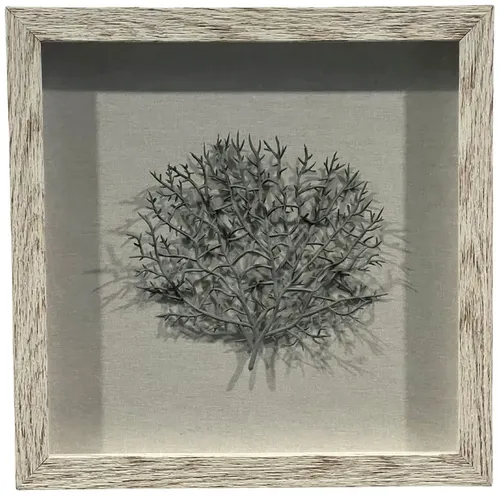 Grey Fan Coral In White Frame 