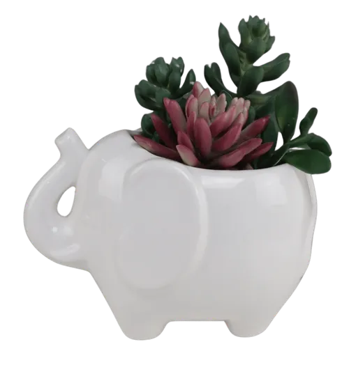 Artificial Succulent In White Ceramic Elephant Vase