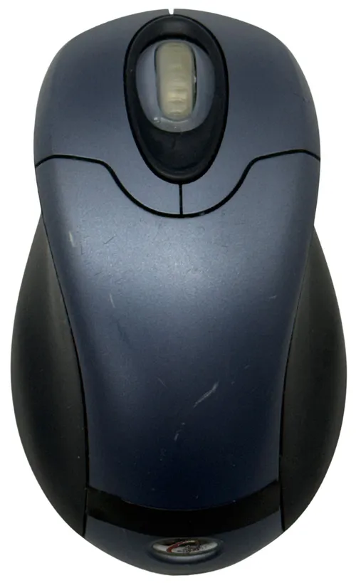 Blue & Black Computer Mouse