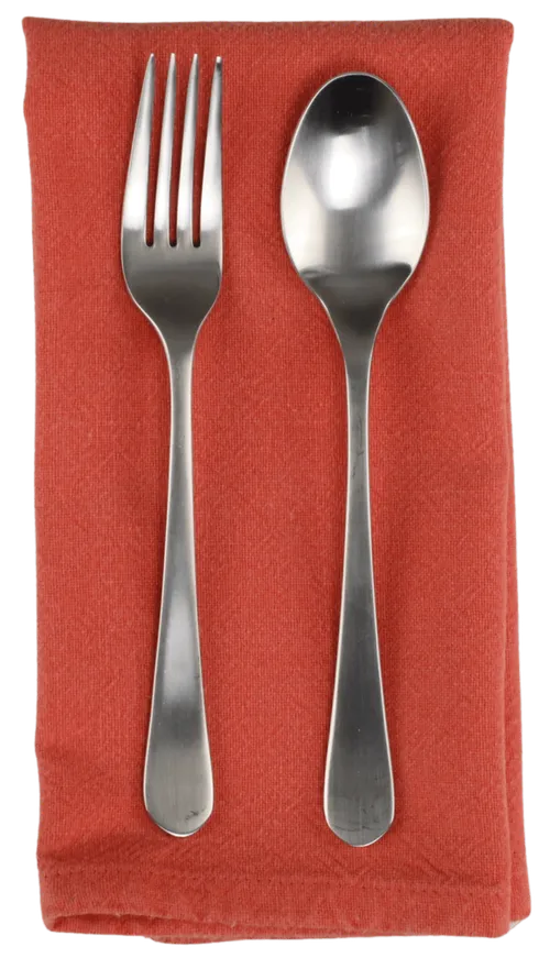 Solid Coral Napkin