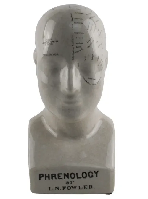 Phrenology Ceramic Head Bust 