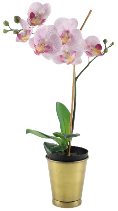Artificial Pink Moth Orchid In Brass Vase