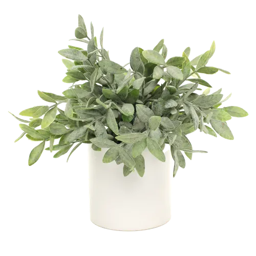 Artificial Goat Nut In White Matte Ceramic Pot