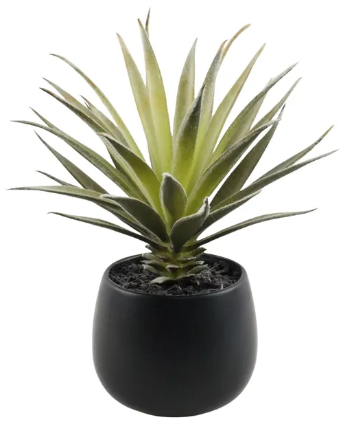 Artificial Succulent In Black Ceramic Pot