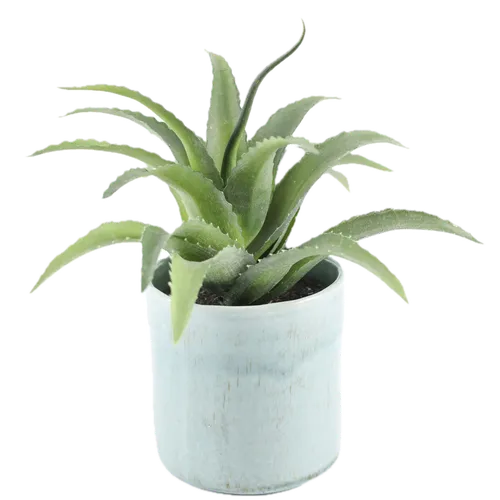 Artificial Aloe Plant In Pale Blue Ceramic Pot