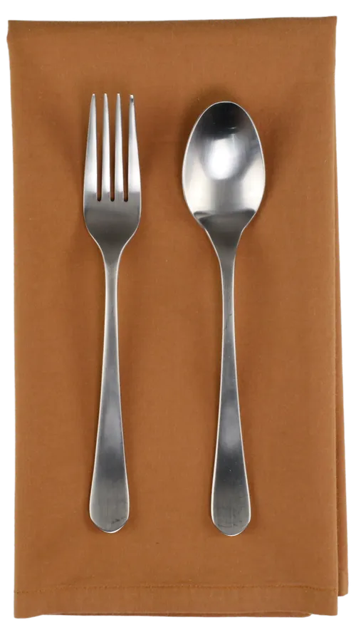 Terracotta Solid Napkin