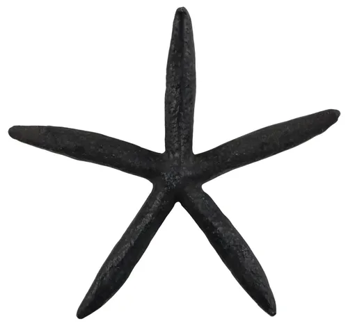 Black Starfish
