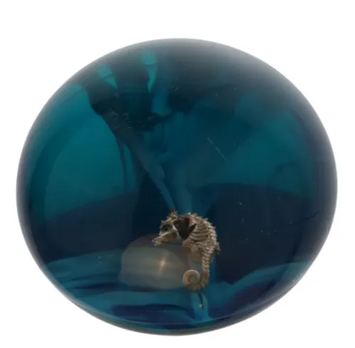 Blue Acrylic Paperweight With Seahorse