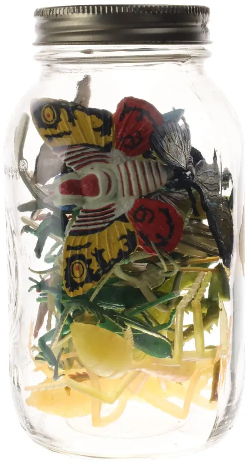 Clear Glass Jar With Rubber Moths & Insects
