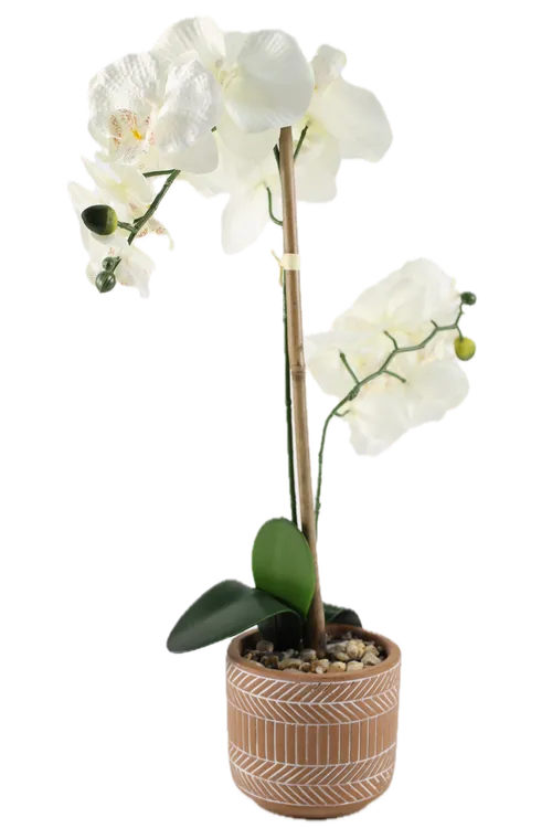 Artificial White Boat Orchid In Terra-cotta Geometric Pot