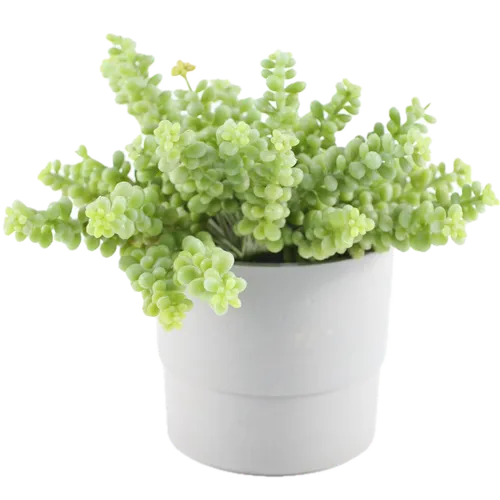 Artificial Burro's Tail Succulent Plant In Grey Pot