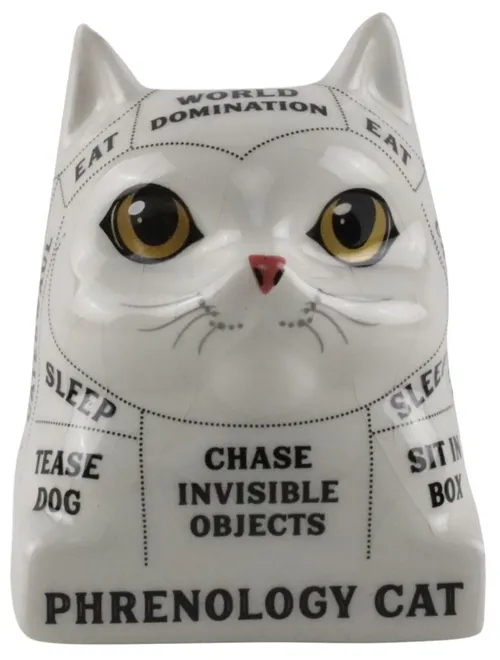 Cat Phrenology Ceramic Head