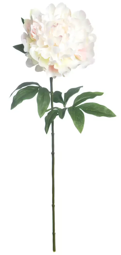 Artificial Cream & Pink Peony Stem