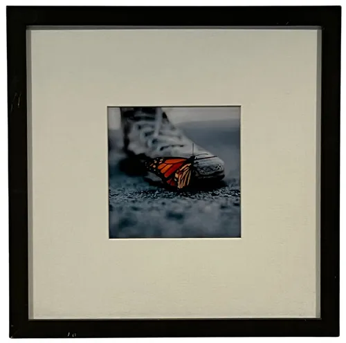 Monarch Butterfly Shoe Photograph In Black Frame