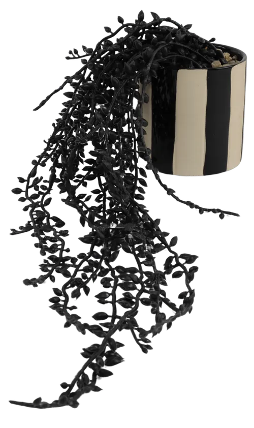 Artificial Black Plant With Black & White Stripe Ceramic Pot