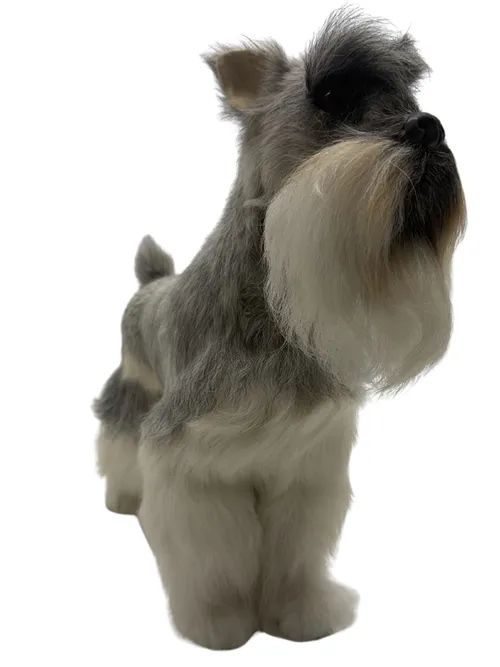 Taxidermy Grey and White Miniature Schnauzer Dog