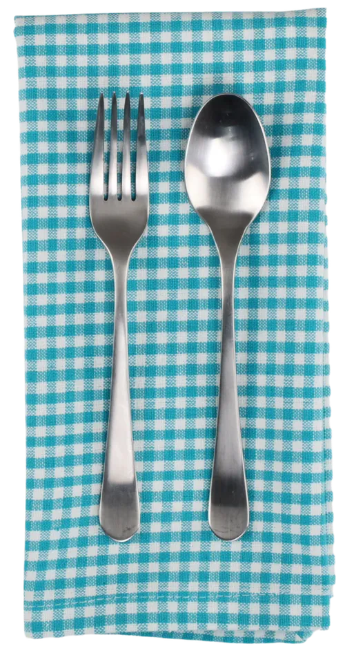 Turquoise & White Gingham Napkin