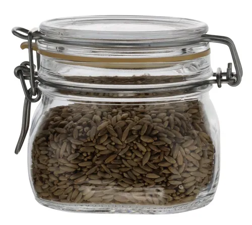 Clear Glass Canister With Hinged Lid Containing Grains