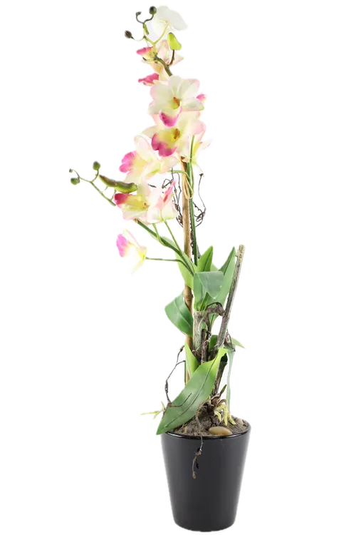 Artificial Pink Orchid In Black Ceramic Pot