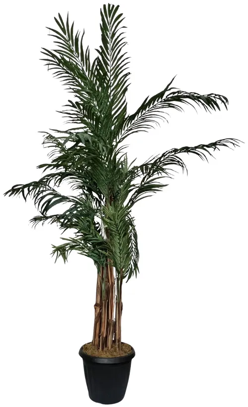 Artificial Palm Tree In Black Pot