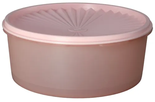 Light Pink Plastic Reusable Plastic Storage Container