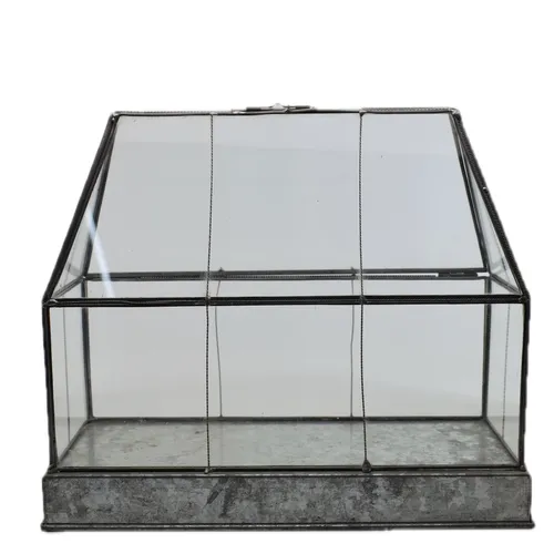 Galvanized Greenhouse Planter Terrarium