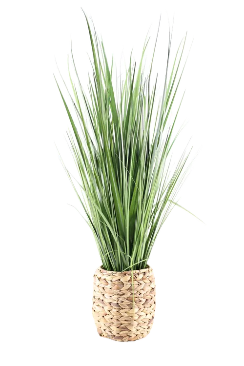 Artificial Lemon Grass In Thick Wicker Pot