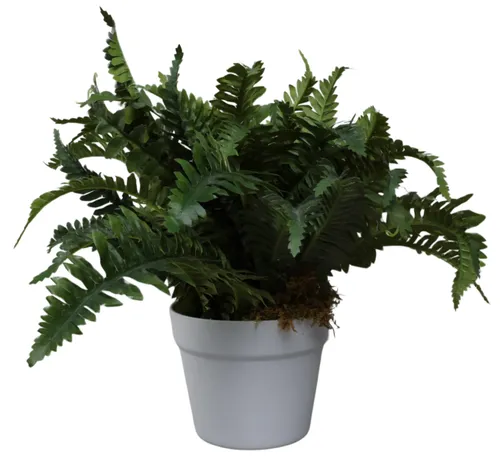 Artificial Fern Plant In White Pot