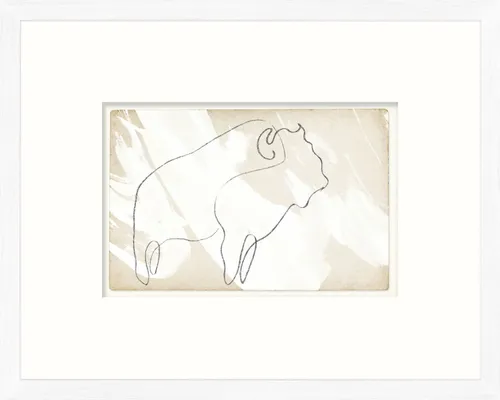Line Drawing Buffalo On Paper With White Frame