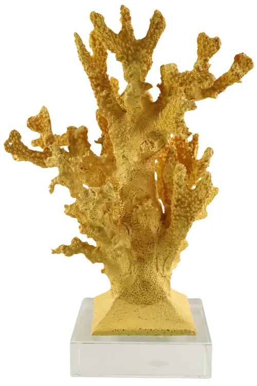 Yellow Sea Coral On Glass Base