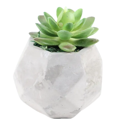 Artificial Jellybean Succulent Plant In Hexagon Concrete Pot