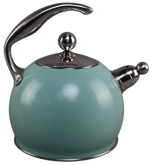 Teal & Stainless Steel Kettle