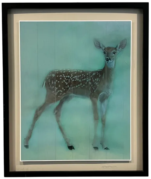 Dream Deer With Black Frame