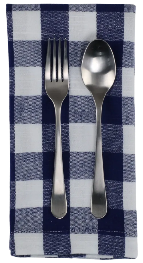 Blue & White Buffalo Check Napkin