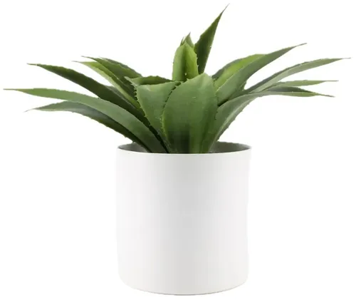 Artificial Black Spine Agave In White Cylindrical Ceramic Pot