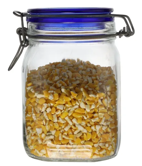 Clear Glass Canister With Blue Clamp Lid Containing Corn Kernels