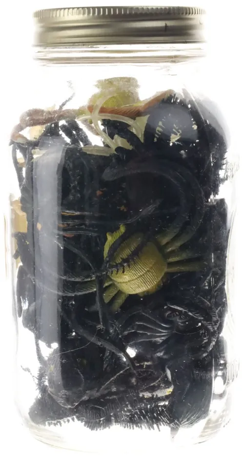 Clear Glass Jar With Assorted Rubber Spiders