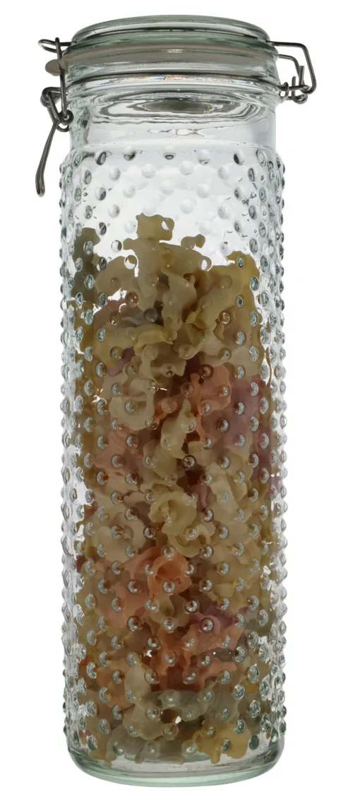 Clear Dotted Glass Tall Canister With Lid Containing Colourful Pasta